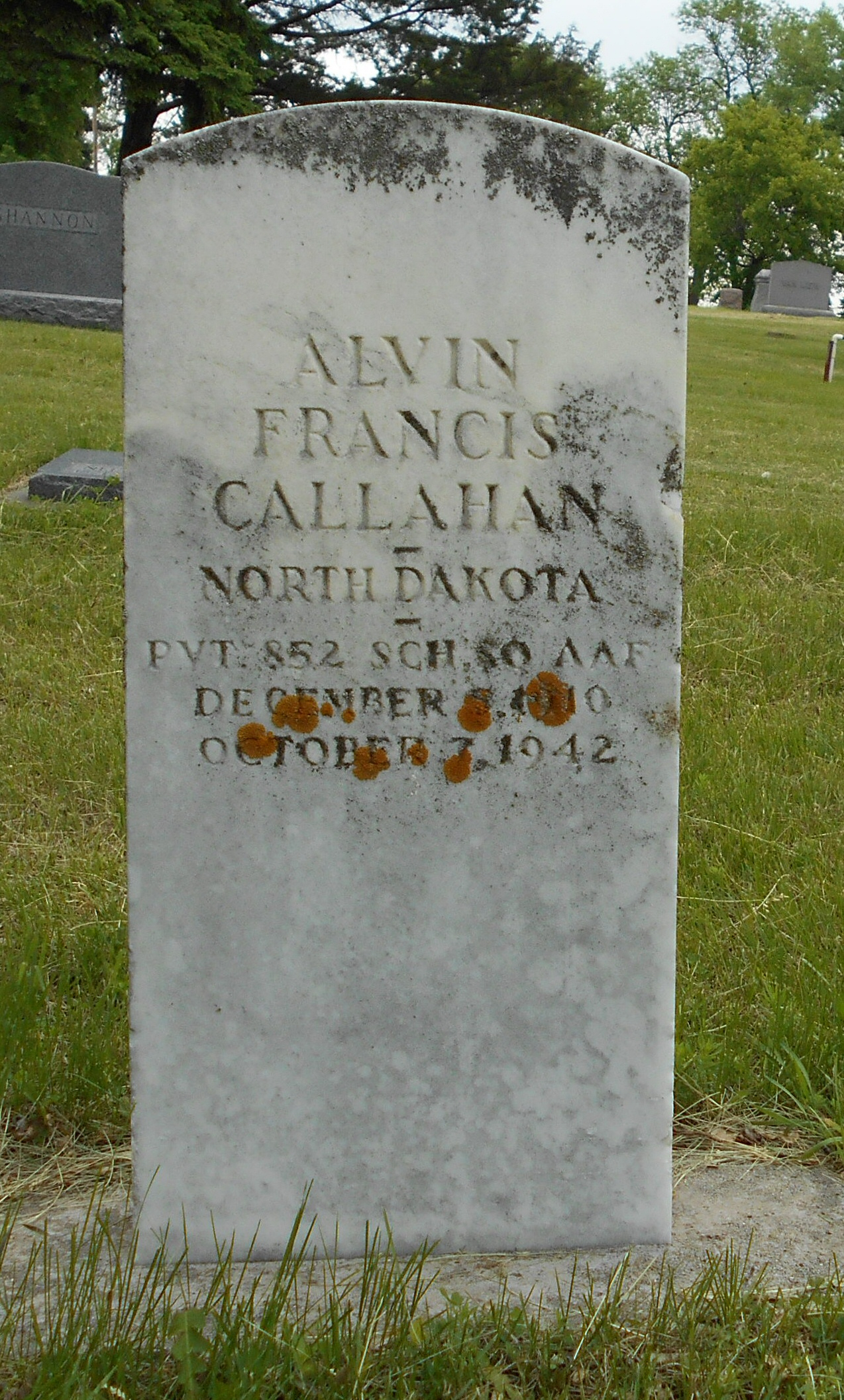 Alvin F. Callahan photo