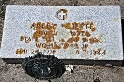 Gerhard A. Skjefte photo